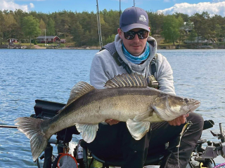 SUPER SIZE ZANDER for Kasper!