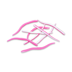 Earthworm - Pink / White (UV)