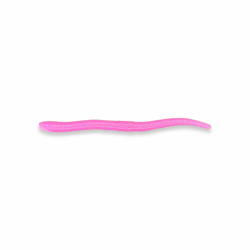 Earthworm - Pink / White (UV)