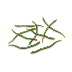 Earthworm - Watermelon Red