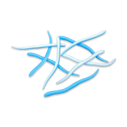 Earthworm - Baby blure / white (UV)