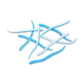 Earthworm - Baby blure / white (UV)