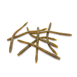 Finesse Worm (15.2cm/6inch) - Green Pumpkin