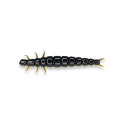 Larva - Black / yellow (UV)