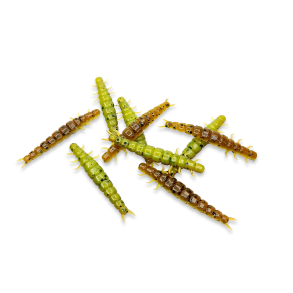 Larva - Green Pumpkin / Chartreusse (UV)