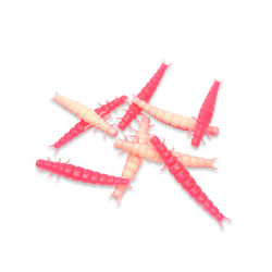 Larva - Pink / White (UV)