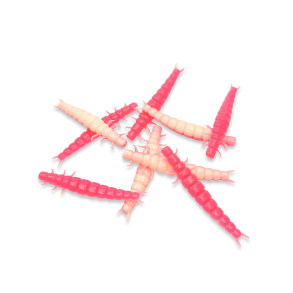 Larva - Pink / White (UV)